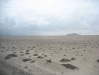 desierto
