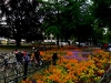 plazaCentral