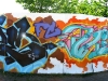sye_vins_manifestation